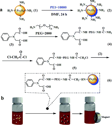 2 2 Phenylazanediyl Diacetic Acid Modified Fe3o4 Pei For Selective Removal Of Cadmium Ions From Blood Nanoscale Rsc Publishing
