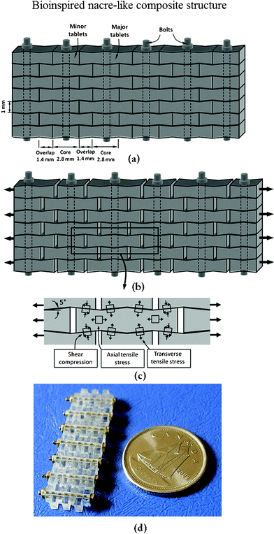 Hierarchical Structure And Mechanical Properties Of Nacre: A Review ...