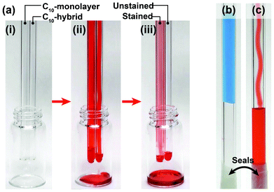 (a) Appearances of C10-monolayer and C10-hybrid (RT/D = 4) coated glass tubes (i) before, (ii) in the course of, and (iii) after flowing the red-colored n-hexadecane. Blue-colored water (b) became blocked in the tube, while red-colored n-hexadecane flowed smoothly through the C10-hybrid (RT/D = 4) coated glass tube (sealed at one end with paraffin film).