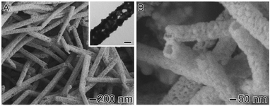 SEM and TEM (inset) images of Ag–Au NTs obtained by the galvanic reaction between Ag NWs and HAuCl4. The scale bar in the inset corresponds to 50 nm.