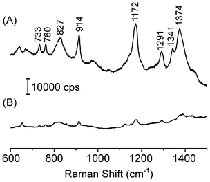 SERS spectra for crystal violet (10−7 M) recorded from aqueous suspensions containing (A) Ag–Au NTs and (B) Ag NWs as substrates. The spectra were recorded by employing approximately the same concentration of nanostructures in each suspension.
