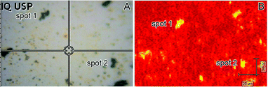 (A) Optical microscopy image of a 100 × 140 μm film substrate containing the Ag–Au NTs. (B) SERS image of the film shown in (A) acquired after its immersion in a 1.0 × 10−10 M CV aqueous solution and employing the 1170 cm−1 signal to build the intensity map (high and low intensity regions are marked as yellow and red, respectively).