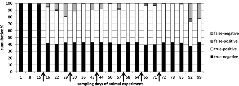 Prediction of correct and incorrect classification, using kNN modelling. Results of all serum samples taken in the animal experiment were categorized by sampling day and used for building the model and predict classification. Time points of treatment (rbST-formula or matrix-formula) are marked by arrows.