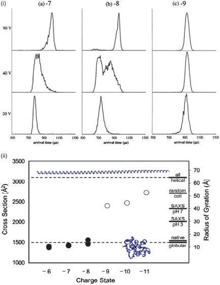 (i) Arrival time distributions for α-synuclein −7, −8 and −9 charge states at injection energies 20 V, 40 V and 90 V. (ii) CCS vs. charge for the dominant peaks in the ATD measurements. Theoretical CCSs are represented for globular and helical structures by dotted lines. Images taken from ref. 55.