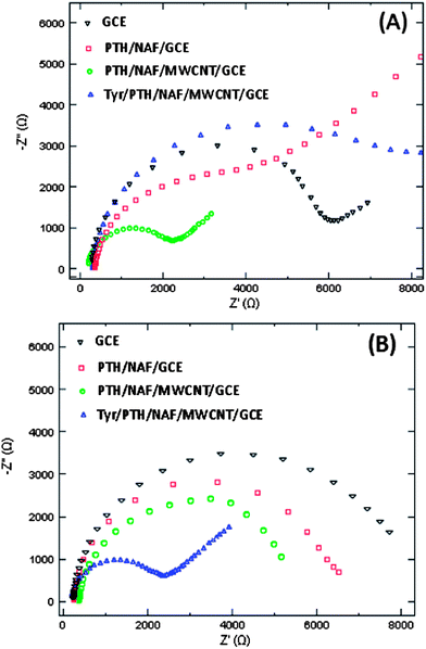 (A) Nyquist plot of 1.0 mM K3[Fe(CN)6] in 0.1 M KCl at different modified electrodes: GCE (), PTH/NAF/GCE (), PTH/NAF/MWCNT/GCE () and Tyr/PTH/NAF/MWCNT/GCE (). (B) Nyquist plot of 0.5 mM matairesinol in pH 7.0 at different modified electrodes: GCE (), PTH/NAF/GCE (), PTH/NAF/MWCNT/GCE () and Tyr/PTH/NAF/MWCNT/GCE ().