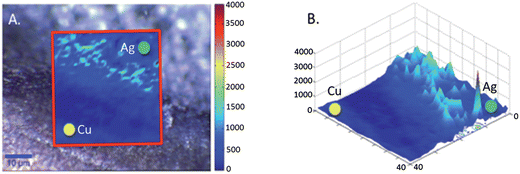 Chemical maps on Rhodamine 6G on the 2p coin surface. (A) Shows the Raman/SERS map generated using the peak intensity at 1368 cm−1 the spectra were acquired across the interface between the silver deposition site (green dot) and the copper coin (yellow dot) the map is overlaid onto an optical image of the interface. (B) Shows a 3D plot of the intensity observed on both the copper and silver sites.