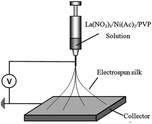Schematic diagram of the electrospinning apparatus.