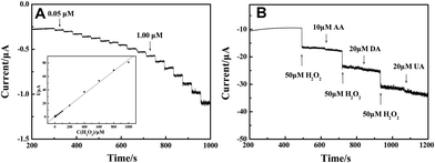 (A) Amperometric response obtained on the modified CPE upon successive addition of H2O2 of different concentration to 0.1 M NaOH with applied potential at 0.6 V. Inset: calibration curves of H2O2 sensor. (B) 50 μM H2O2 at different stages and on addition of 10 μM AA, 20 μM DA and 20 μM UA to 0.1 M NaOH with applied potential at 0.6 V.