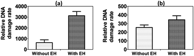 Influence of epoxide hydrolase on sensor array relative DNA damage rate ({μg protein−1} s−1 mM−1) for 25 μM B[a]P at pH 7.4, (a) cyt P450 1B1 + EH and (b) HLM + EH.