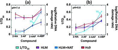 Plots illustrating correlations of the reciprocal of mouse liver TD50 values with log of relative DNA damage rates ({μg protein−1} s−1 mM−1) measured by sensor arrays containing HLM, HLM + NAT and Hs9 as enzyme sources, for 4 arylamines (a) at pH 7.4 and (b) at pH 5.8.