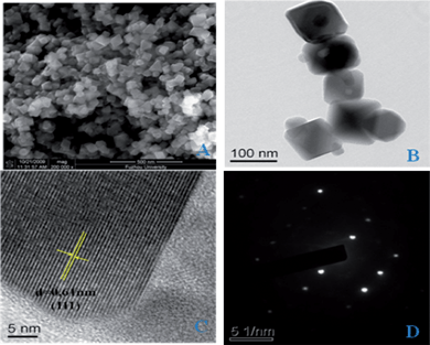 SEM (a), TEM (b), HRTEM images (c), and typical SAED pattern (d) of the HSN sample.