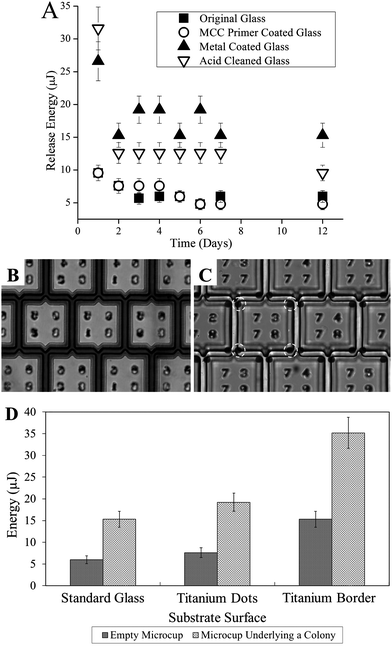 Surface modifications to improve microcup adhesion. (A) Change in ER of the microcups on the variously modified surfaces over a 12-day period immersed in media. (B) Microcups on titanium patterned surface. The metal is patterned to underlie the outside edges of the walls and cover the gaps between the microcups. (C) Microcups on titanium patterned surface in which the metal was deposited only at the four corners of the walls. (D) ER and ES for microcups on the modified surfaces without cells or containing cells from overlying colonies formed after 6 days in culture. The dimensions of the microcups in these experiments were 100 × 100 μm, 10 μm wall thickness, and 15 μm gap.