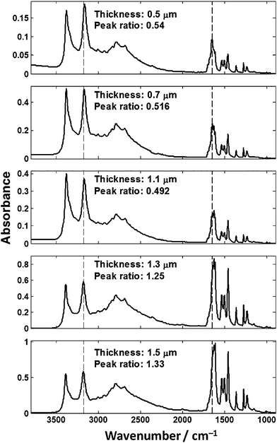 Spectra of cytosine films of varying thickness collected in transflection-mode on low-e slides. The peak ratio was calculated from the 1655/3175 cm−1 bands.