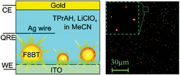 Schematic diagram of single molecule spectroelectrochemistry cell and wide-field ECL image with the laser beam focused on the central area of the image (inset: expanded region showing ECL from four particles). (Reproduced from ref. 151. Copyright 2008, American Chemical Society.)