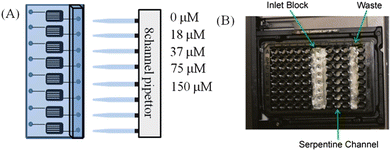 Pumping, alignment and fluorescence analysis from a polystyrene device. (A) Fluorescein standards are pumped with a pipet into the device. (B) The device is then placed in a plate reader and fitted with a microplate as a guide. Fluorescence analysis is performed with excitation of 494 nm and emission of 521 nm.