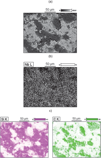 (a) SEM image of SiCNb; the corresponding EDS mapping of (b) Nb and (c) Si and C.