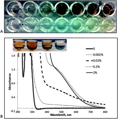 (A) Effect of ceria concentration on color formation in the absence (bottom row) and presence of 0.45 mM caffeic acid (top row). Ceria concentrations tested are 0.0025, 0.005, 0.01, 0.1, 1, 2, and 4% (left to right). (B) Spectral changes of various concentrations of ceria in the presence of a constant amount of gallic acid (0.5 mM). Vials from left to right indicate ceria concentrations of 2, 0.2, 0.02, 0.002%.