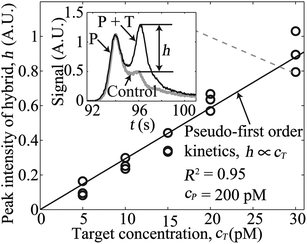 Variation of peak intensity of the target–probe hybrid for five initial concentrations of a 39 nt ssDNA target. We varied the target concentration from 5 to 30 pM, while keeping the probe concentration fixed at 200 pM. The inset plot shows representative raw, electropherogram signals observed after hybridization and separation. The grey curve is a negative control (no target), and the black curve is for the case of 30 pM initial target concentration. Here, time t = 0 corresponds to the onset of bidirectional ITP following 40 s of unidirectional ITP. The signal (black curve) shows two peaks corresponding to the unreacted probe (P) and the target–probe hybrid (P + T). The contribution to signal from the target–probe hybrid is denoted by the signal component h as shown. The main plot shows how observed signal, h, of the target–probe hybrid zone increases linearly (R2 = 0.95 for linear fit) with the initial target concentration.