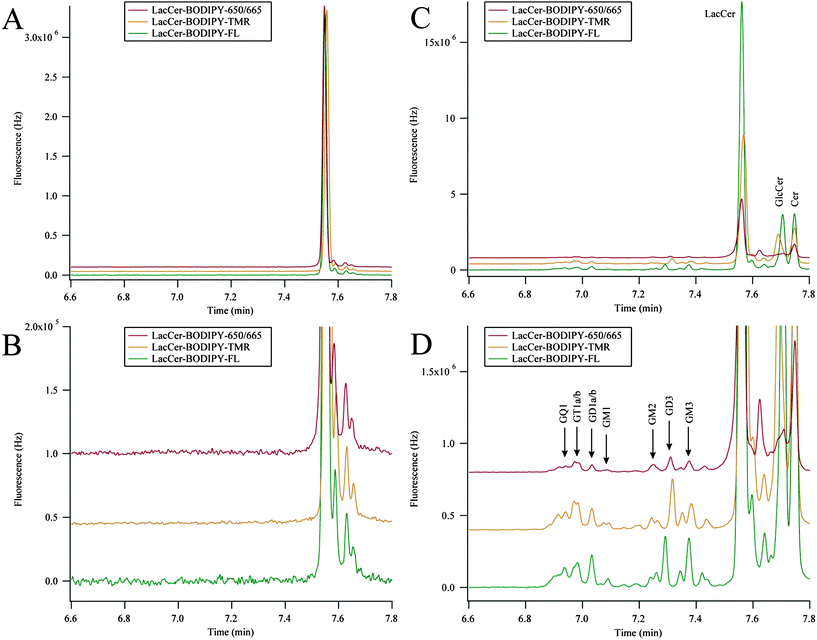 Three-color metabolic cytometry in dPC12 cells. (A) Three-color electropherogram of a 3.3 nM dilution of the incubation medium containing LacCer–BODIPY–FL, LacCer–BODIPY–TMR, and LacCer–BODIPY–650. (B) Blowup of the relevant portion of (A). (C) Three-color electropherogram of cellular homogenate after fluorescent-GSL incubation. (D) Expansion of the relevant portion of (C). BODIPY–FL and BODIPY–650/665 traces were multiplied by 7.7 and 2.9 (respectively) in all panels and traces were vertically offset for clarity. Electropherograms in (C) and (D) were aligned for analyte identification. Peak assignments were made according to the text.