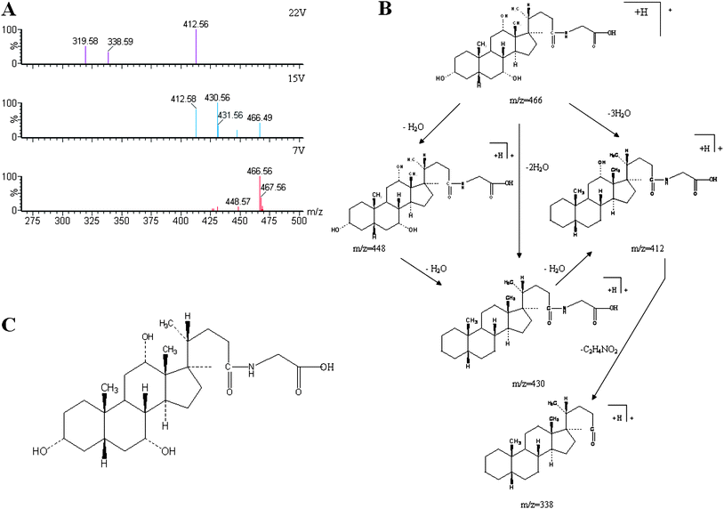 Typical identification of potential biomarker glycocholate in urine using UPLC-ESI-QTOFMS-based metabolomics. (A) Mass spectrum of full scan and product ion scan of determined biomarkers. (B): possible fragmentation pathway; (C): chemical structure of glycocholate.
