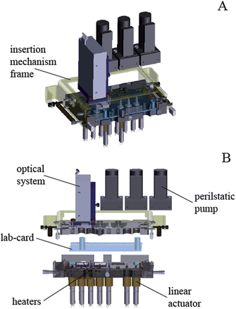 Real-time isothermal RNA amplification of toxic marine