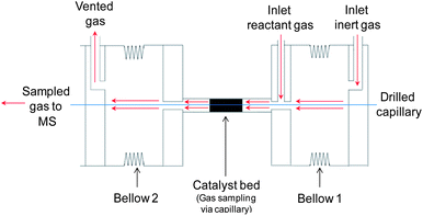 Gas flow within the system.