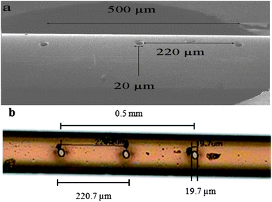 Sampling holes of the capillary (a) capillary drilled by plasma-FIB, (b) capillary drilled by femtosecond pulse IR solid-state laser (picture obtained by optical microscopy).