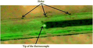 Picture of the capillary with the thermocouple inserted (picture obtained by optical microscopy).