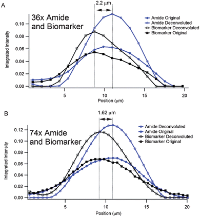 Line profiles through chemical images of the labelled cell shown in Fig. 4. (A) Original and deconvoluted line profiles of the Amide and biomarker chemical images shown in Fig. 4E–H. The profiles all come from the location indicated by the white line in Fig. 4E. The displacement between the Amide and biomarker signatures is measured to be 2.2 μm. (B) Original and deconvoluted line profiles of the Amide and biomarker chemical images shown in Fig. 4A–D. The profiles all come from the location indicated by the white line in Fig. 4A. The displacement between the Amide and biomarker signatures is measured to be 1.62 μm.