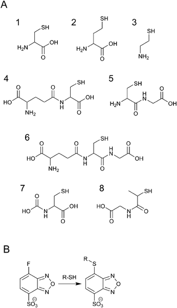 Chemical structures of SBD-F and thiols. (A) Structure of thiols: 1, Cys; 2, Hcy; 3, CA; 4, γ-GluCys; 5, CysGly; 6, GSH; 7, NAC; 8, MPG. (B) Reaction of SBD-F and thiols.