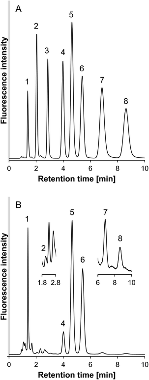 Typical chromatogram of (A) the standard sample and (B) the human plasma sample. Peaks; 1, SBD–MPG; 2, SBD–NAC; 3, SBD–CA; 4, SBD–Hcy; 5, SBD–Cys; 6, SBD–CysGly; 7, SBD–GSH; 8, SBD–γ-GluCys. Column: ZIC-HILIC (150 mm × 2.1 mm i.d., 5 μm, Merck). Column temperature: 35 °C. Mobile phase: acetonitrile–10 mmol l−1 ammonium formate buffer (pH 3.0) = 75/25 (v/v). Flow rate: 0.4 ml min−1. Fluorescence detection: ex 375 nm, em 510 nm. Injection sample: 5 μl, containing 75% acetonitrile.