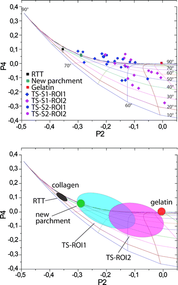 Top: P2–P4 plot of orientation parameters relative to all samples analyzed in this study. Bottom: characteristic regions found for different samples indicative of different states of preservation of collagen.