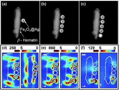 Schematic diagram used in DDA modeling of β-hematin and (a) 1, (b) 4, and (c) 5 Fe3O4@Ag nanoparticles (C25S25) at 633 nm wavelength excitation polarized along the axis as indicated by the arrows. The scale bars represent 100 nm. (d) Ratio of |E|2 distributions obtained by a point by point ratio of |E|2 distributions between (b) to (a); (e) ratio of |E|2 for (c) to (a), and (f) ratio of |E|2 for (c) to (b). The intensity in (d) and (f) is rescaled to saturate at higher values for clear illustration of the enhancement at the interface between Fe3O4@Ag and β-hematin. The white line outlines the nanoparticles and the β-hematin.