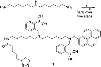 Structures of the starting material and product in the synthesis of bis-boronic acid 1 in five steps from N-1-(6-aminohexyl) hexane-1,6-diamine in 26% overall yield as detailed in the ESI.