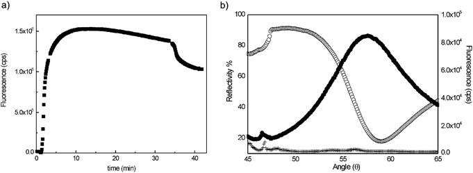 (a) Real-time fluorescence kinetic curve for Alexa Fluor 647 conjugated 1°Ab binding. (b) SPFS signal for (●) CF expression of hERG channel in biomimetic membrane platform, (+) CF reaction mixture without DNA (negative control, and (○) angular scan curve.