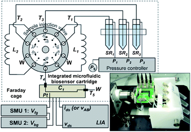 Schematic diagram of the integrated label-free analysis system with automated multi-sample delivery to the microfluidic chip. PEEK tubing is used for all hydraulic connections T1–T5 and sample loops L1 and L2. C1 is the microfluidic flow-cell channel. The pressures P1–P3 control the flow rate in tubes T1–T3, respectively. The dotted enclosure represents the Faraday cage. The electrical biasing and measurement equipment are connected to the Si-NW chip using coaxial cables and a common ground point on the custom-made circuit board. Inset: image of the analysis system. The sample injection valve has two switch positions A and B.