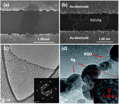 (a and b) SEM images of an RGO flake before and after Ag NP deposition bridging a pair of gold electrode fingers. (c) TEM image of an RGO flake decorated with Ag NPs. The inset is an SAED pattern of RGO/Ag hybrids. (d) HRTEM image of RGO/Ag hybrids.