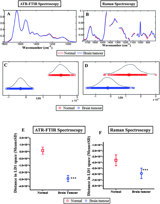 Compares the discriminating power of IR and Raman spectroscopy for normal brain tissue vs. brain tumours. (A) shows the average absorbance spectra of the biochemical-cell fingerprint regions for IR spectroscopy (1800 cm−1 to 900 cm−1); and, (B) for Raman spectroscopy (1750 cm−1 to 800 cm−1). (C and D) shows LD1 scores plot for IR and Raman spectroscopy respectively and represents the spectra from normal brain compared to brain tumours. (E and F) shows the mean ± SD of the spectral points. The difference of the spectral points for normal vs. brain tumour tissue is statistically significant (***, P ≤ 0.0001) for both techniques.