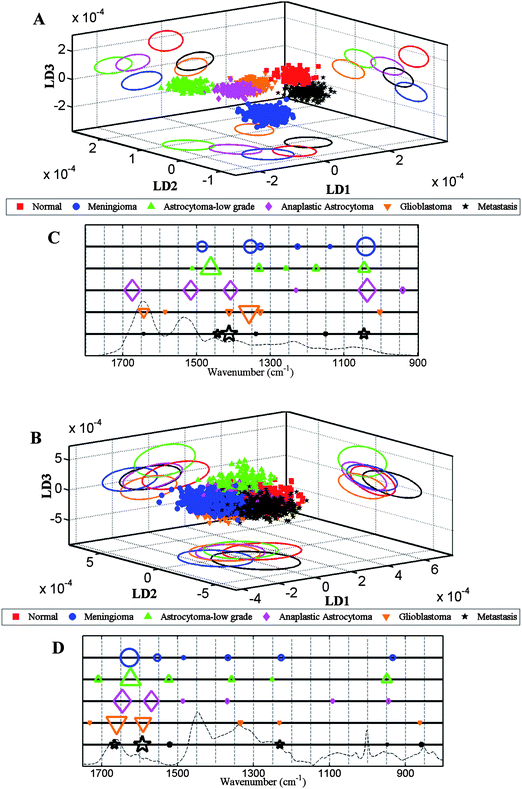 Comparison of LDA scores plots and cluster vector plots derived from the spectra acquired from normal brain and tumour tissue subtypes. (A) shows scores plot derived from IR spectra (n = 1040 spectra; 20 spectra per patient); (B) Raman spectra (n = 2600 spectra; 50 spectra per patient); and, (C and D) shows corresponding cluster vector plots (peak detection plots) with wavenumbers discriminating tumour subtypes from normal tissue.