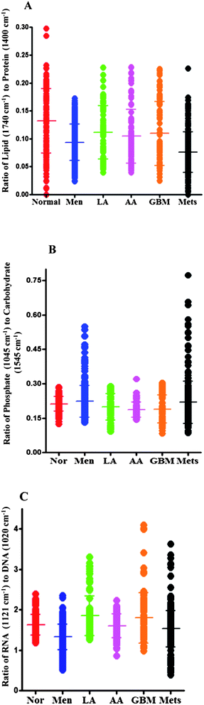 (A) Shows 1-D scores plot of lipid-to-protein ratio (based on the intensity at wavenumbers 1740 cm−1/intensity at 1400 cm−1) for normal brain tissue and different types of tumours. The transverse bars represent mean ± SD of spectrally-derived estimations for a particular tissue type. The ratio of lipid to protein is higher in normal brain tissue compared to tumours with significant difference between normal tissue and meningioma (P ≤ 0.001), high-grade gliomas (AA and GBM) (P ≤ 0.01) and metastatic tumours (P ≤ 0.001) but not with low-grade glioma (LA). (B) shows 1-D scores plots of phosphate (1045 cm−1) to carbohydrate (1545 cm−1) ratio for normal brain tissue and brain tumours. Differences in the ratio are apparent between normal tissue and high-grade gliomas (AA and GBM) (P ≤ 0.001). (C) shows ratio of RNA (1121 cm−1) to DNA (1020 cm−1) comparing the spectral points acquired by LDA for normal brain tissue and various tumour grades. The RNA-to-DNA ratio is significantly altered from normal brain tissue compared to meningioma (P ≤ 0.001) and to a lesser extent in metastatic tumours (P ≤ 0.05).