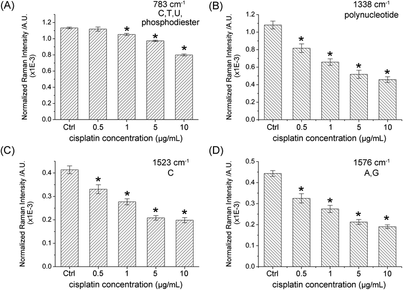 Comparison of the mean intensities and standard deviations of the selected peaks assigned to DNA (783 cm−1, 1338 cm−1, 1523 cm−1 and 1576 cm−1) with significant differences (Student's t-test analysis) between the control group and four experimental groups treated with different concentrations. p < 0.05 was labeled as *.