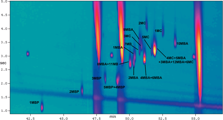GC×GC-FID chromatogram of 23 homologues of methylbenzo[c]phenanthrenes (MBP), methylchrysenes (MC) and methylbenz[a]anthrecenes (MBA) obtained on DB-5 (60 m) × LC-50 (1.2 m).