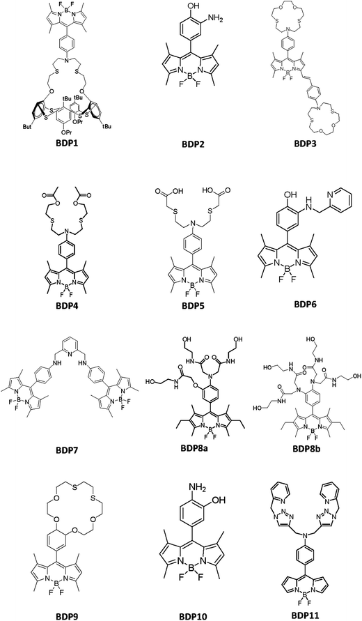 Chemical structures of the BODIPY derivatives included in Table 3.