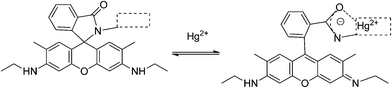 Spiranic system opening induced by Hg2+ complexation.