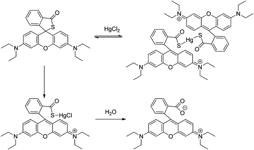 Proposed binding mode of RB14 with Hg2+.