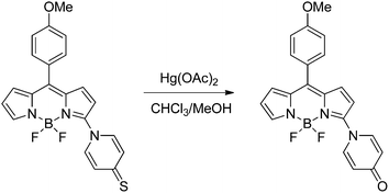 Induced desulfuration reaction of BDP12 in the presence of Hg2+.