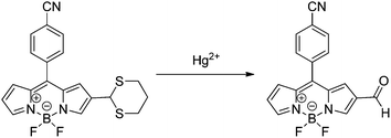 Dethioacetalization reaction of BDP13 in the presence of Hg2+.