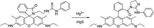 Proposed mechanism of Hg2+-induced ring opening and cyclization of RG3.