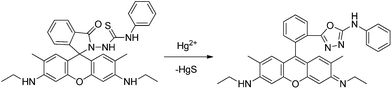 Proposed mechanism of Hg2+ induced ring opening and cyclization of RG4.