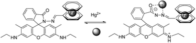 Proposed binding mode of RG6 with Hg2+.